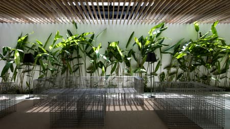 Sky House